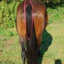 Langzügel Biothane braun-messing