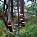 Langzügel Biothane braun-messing