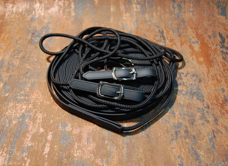 Doppellonge Biothane-Seil in schwarz